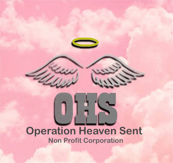 Operation Heaven Sent