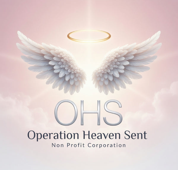 Operation Heaven Sent